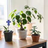 Mini Plant Stake- Cross (Coming Soon)