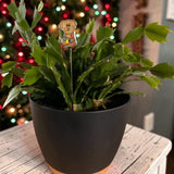 Mini Plant Stake- Christmas Puppy