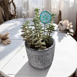 Holiday Mini Plant Stake- Summer Sanddollar