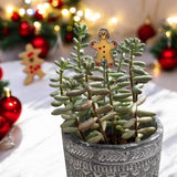 Holiday Mini Plant Stake-Gingerbread Man