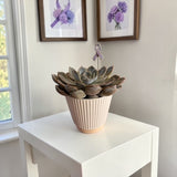 Mini Plant Stake- Lavender Cancer Ribbon (For All Cancer)