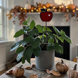 Mini Plant Stake- Apple