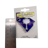 Jewelry - South Carolina Pin