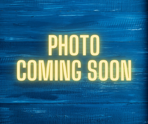 Swittle- Gingerbread (Coming FEB 2026)