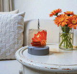 Glass Cover- Gerbera Daisy