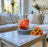 Glass Cover- Gerbera Daisy