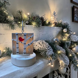 Glass Cover- Birch Trees WINTER