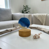 Glass Cover- Beach Wave Circle/ Sharks / Sanddollar