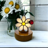 Glass Cover- Daisy Flower with Ladybug