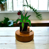 Glass Cover- Spider Plant with Ladybug