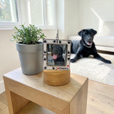 Glass Cover- Picture Frame Puppy Paws