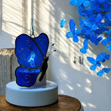 Glass Cover- Butterfly / Blue