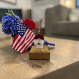 Glass Cover- Gnome / Patriotic
