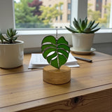 Glass Cover- Monstera Leaf