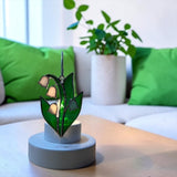 Glass Cover- Lily of the Valley (Coming Soon)