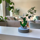 Glass Cover- Lily of the Valley (Coming Soon)