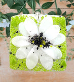 Glass Cover- Fused Flower (White)