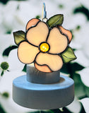 Glass Cover- Dogwood Flower