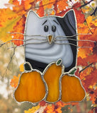 Glass Cover- Fall time Cat