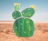 Glass Cover- Cactus