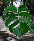 Glass Cover- Monstera Leaf